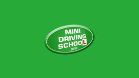 Mini Driving School